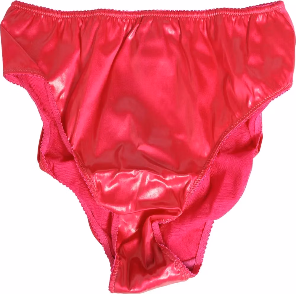 Dolce & Gabbana Pink Silk Satin Slip Girdle Panty Underwear