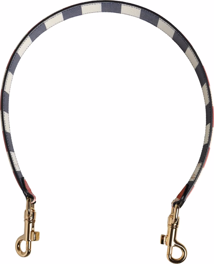 Dolce & Gabbana Multicolor Leather Striped Bag Accessory Shoulder Strap