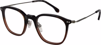 Brown Metal Glasses (Frames)