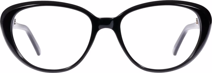 Andy Wolf Black Acetate Glasses (Frames)