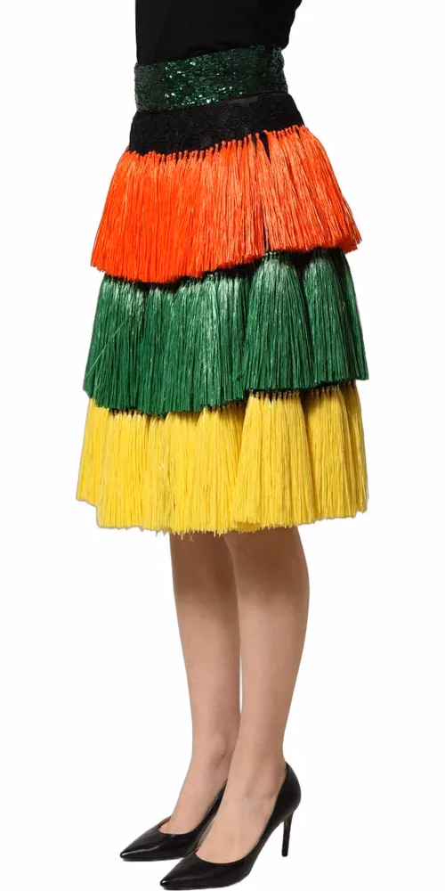 Dolce & Gabbana Multicolor Fringe Sequin High Waist Knee Length Skirt
