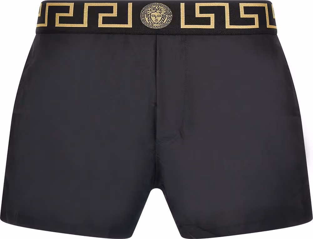 Versace Multicolor Polyester Swim Shorts