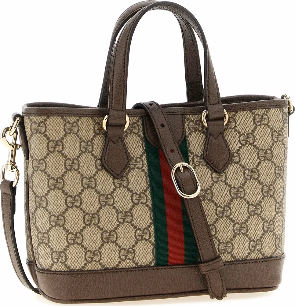 Gucci Multicolor Polyethylene Crossbody Bag