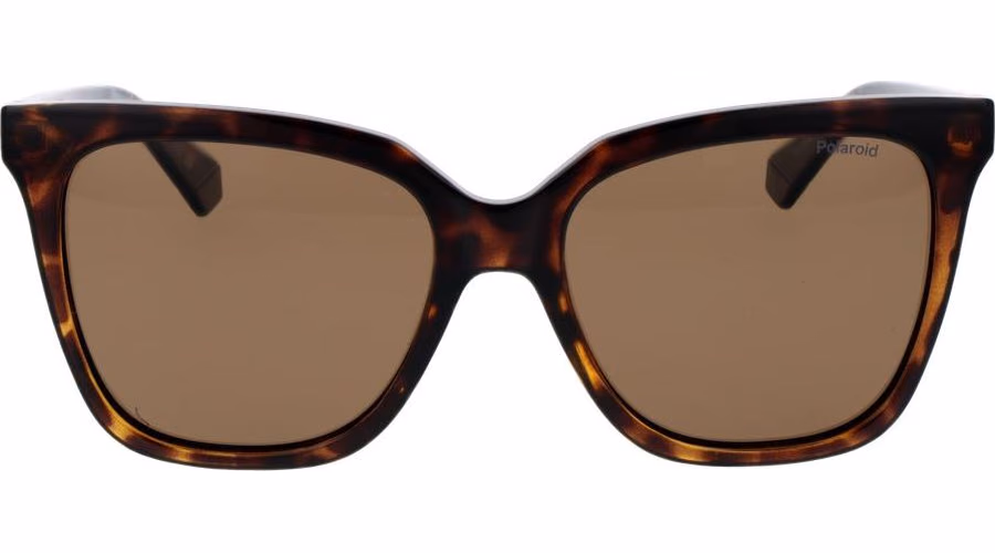 Polaroid Brown Polycarbonate Sunglasses