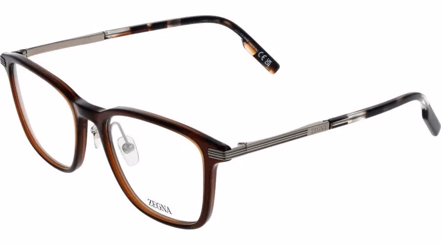 Ermenegildo Zegna Brown Plastic & Titanium Glasses (Frames)