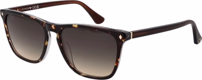 Brown Acetate Sunglasses