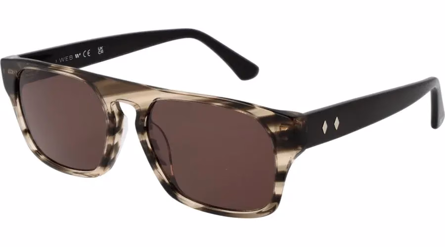 Web Gray Acetate Sunglasses