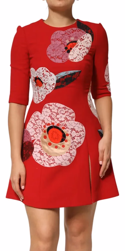Dolce & Gabbana Red Lace Floral Applique A-line Mini Dress