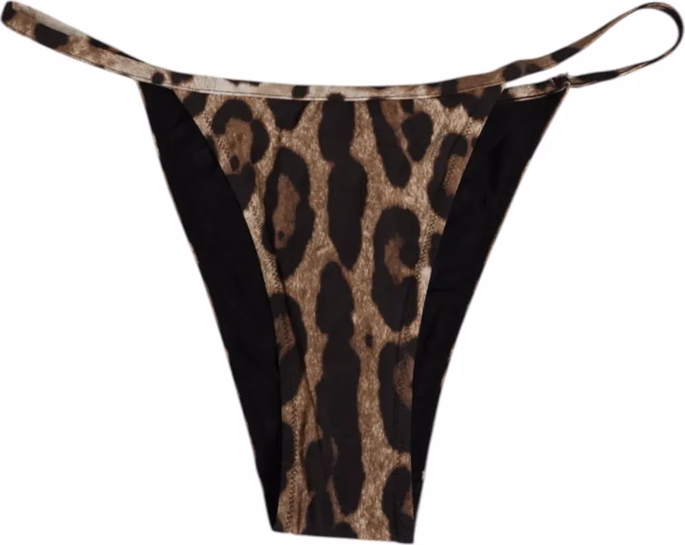 Dolce & Gabbana Brown Leopard Triangle Tanga Panty Underwear