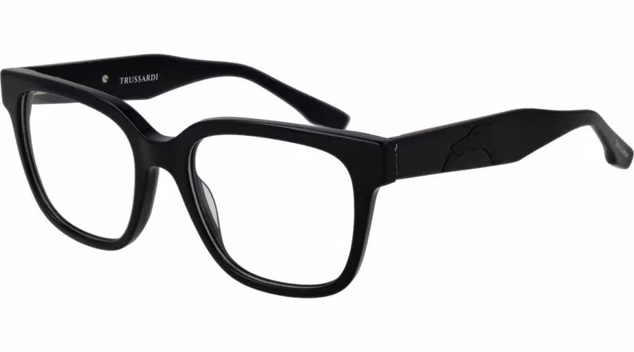 Trussardi Black Acetate Glasses (Frames)